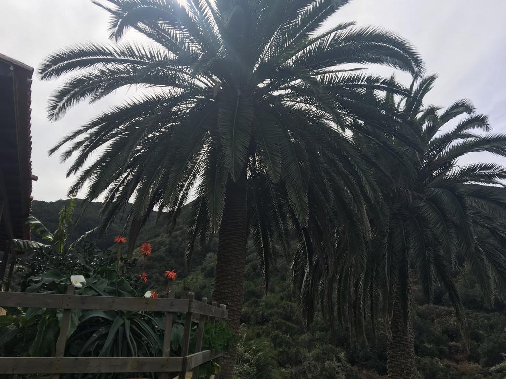 Casa Rural El Rincon De Antonia Agulo Dış mekan fotoğraf