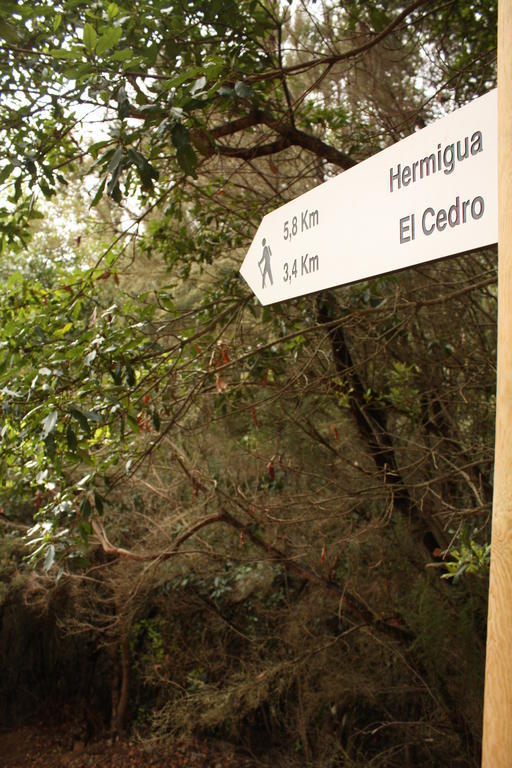 Casa Rural El Rincon De Antonia Agulo Dış mekan fotoğraf