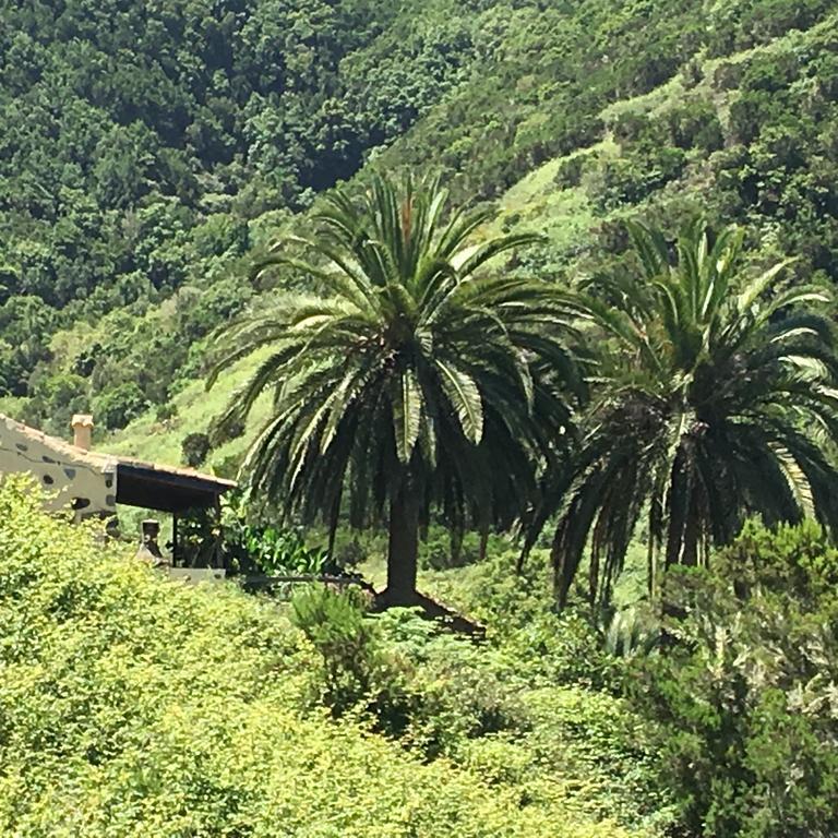 Casa Rural El Rincon De Antonia Agulo Dış mekan fotoğraf