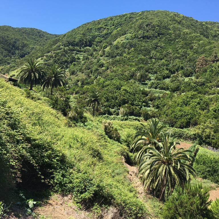 Casa Rural El Rincon De Antonia Agulo Dış mekan fotoğraf