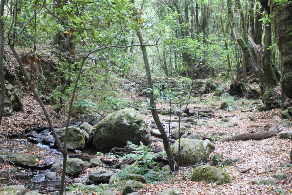 Casa Rural El Rincon De Antonia Agulo Dış mekan fotoğraf