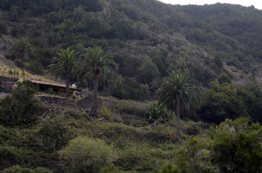 Casa Rural El Rincon De Antonia Agulo Dış mekan fotoğraf