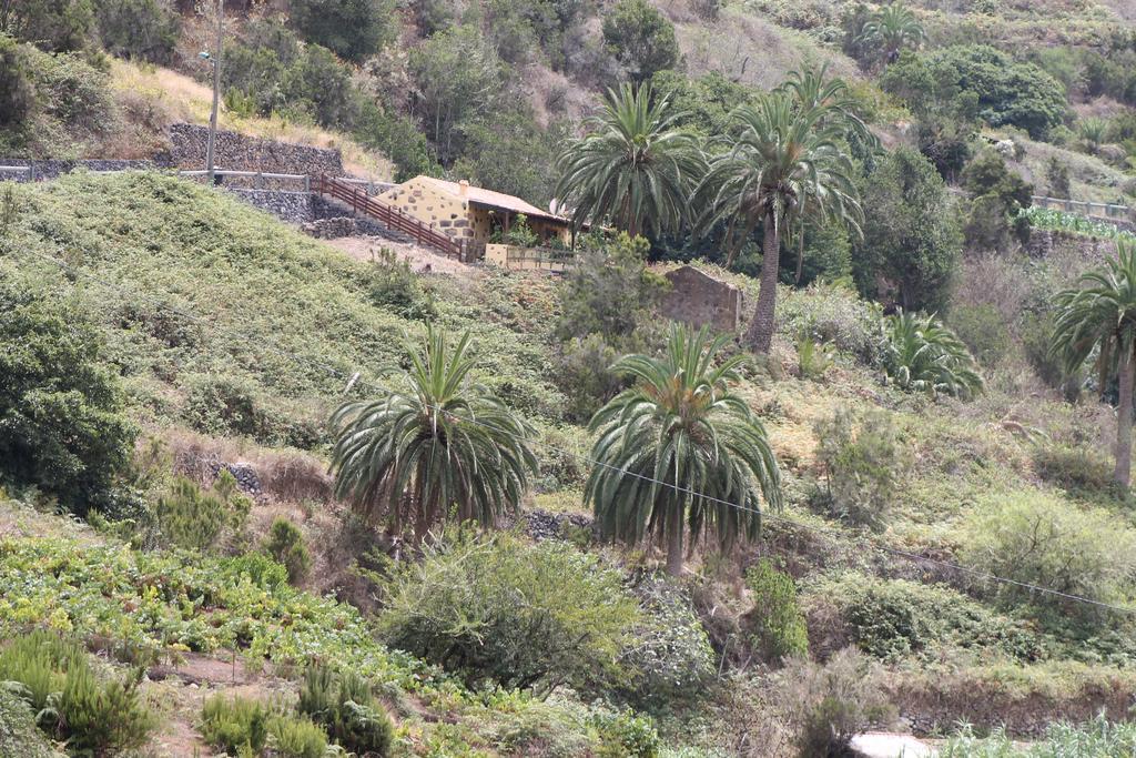 Casa Rural El Rincon De Antonia Agulo Dış mekan fotoğraf